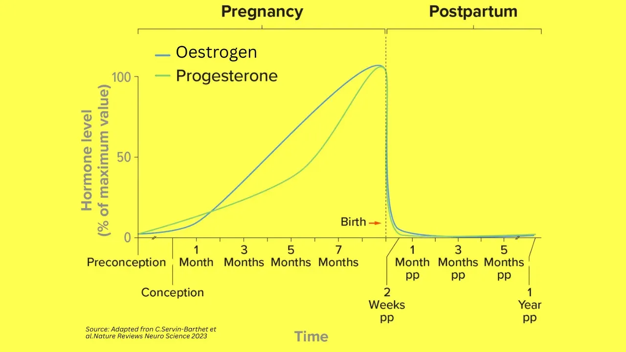 A chart showing the fall of oestrogen and progesterone in the days after birth alongside the rise of prolactin and oxytocin